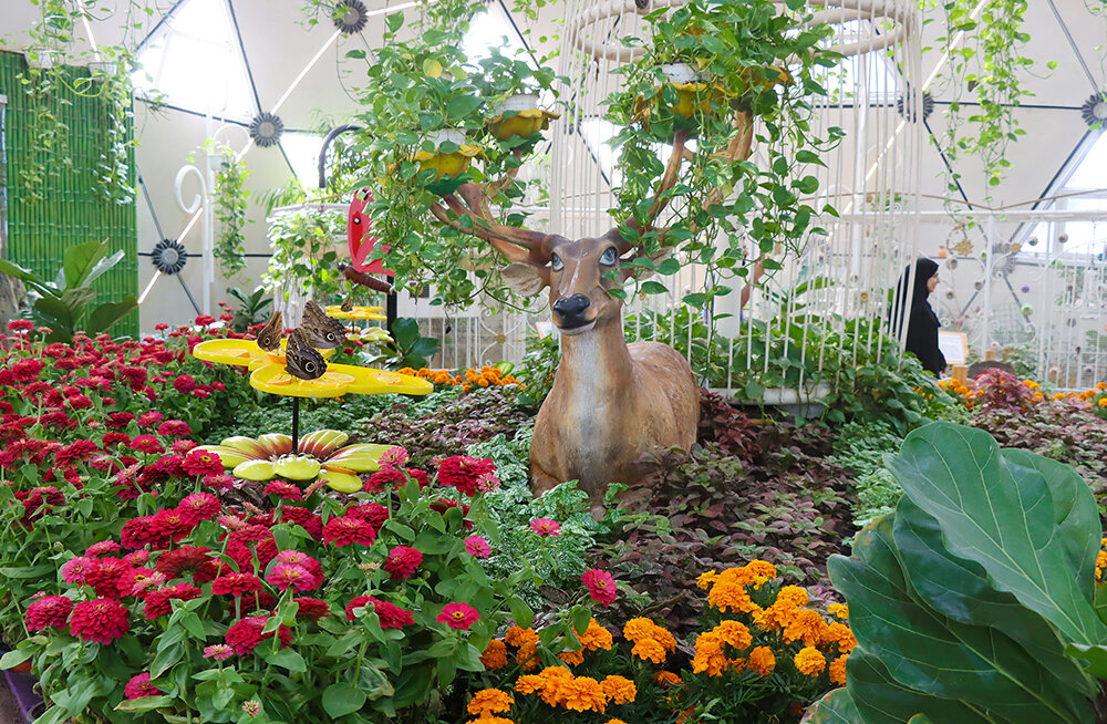 Стол с апельсинами для бабочек - Галина Ильясова
