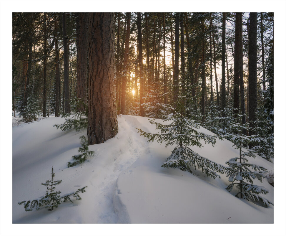 * - Александр Иванов