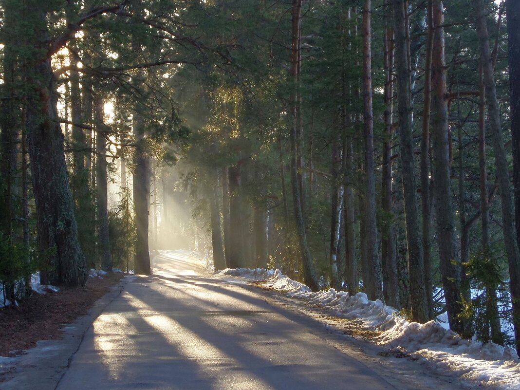 Весенним утром........... - Юрий Цыплятников
