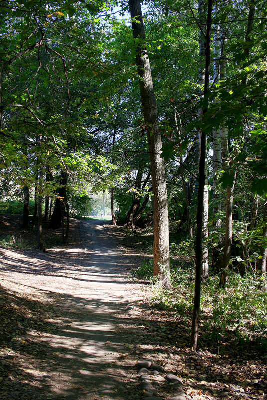 Кузьминский парк - Игорь Белоногов