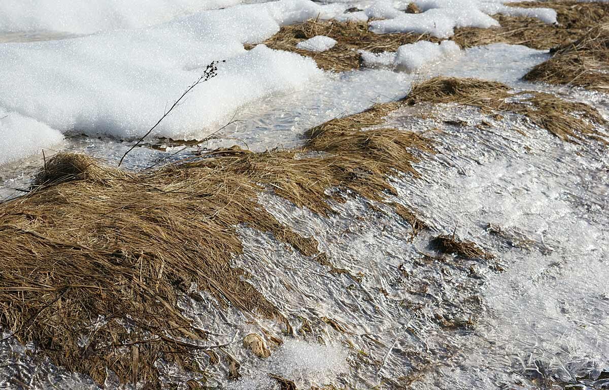 Весенний натюрморт - Сергей Курников
