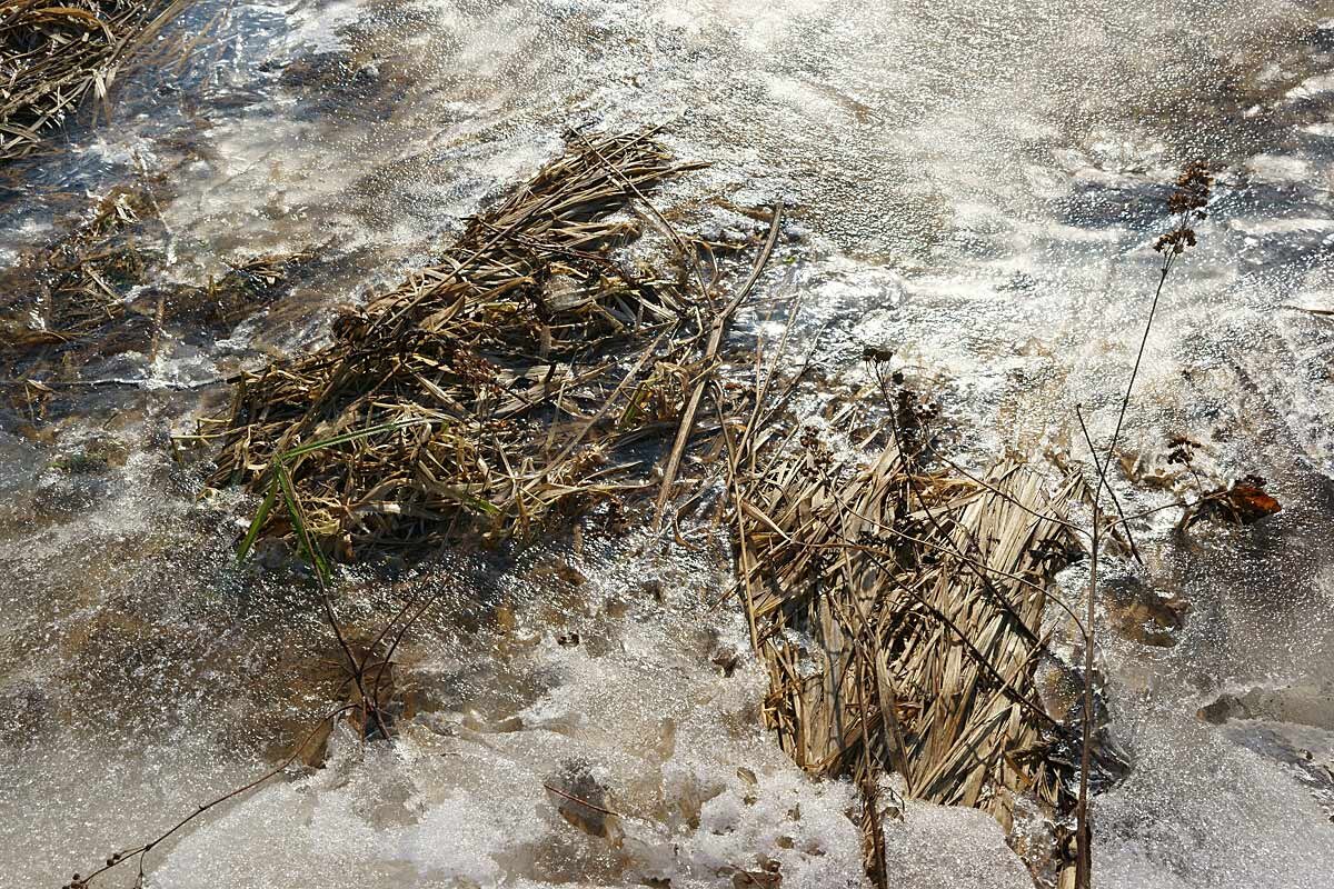 Весенний сюжет - Сергей Курников