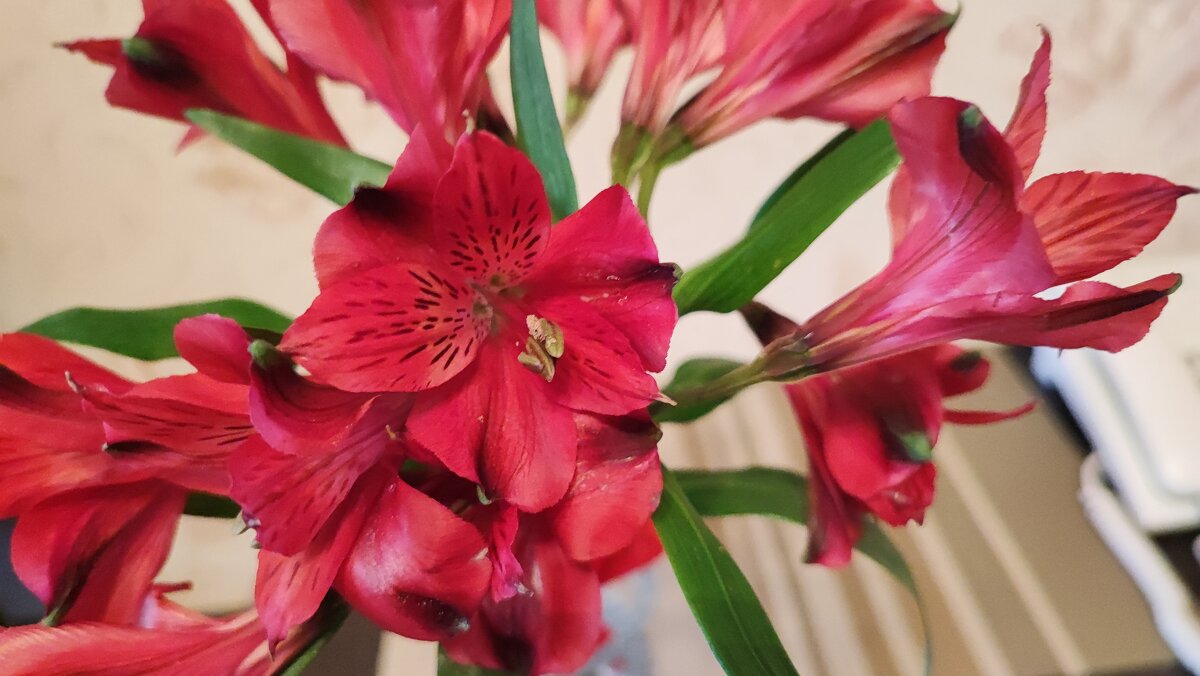 ,,, - Сергей Тимоновский