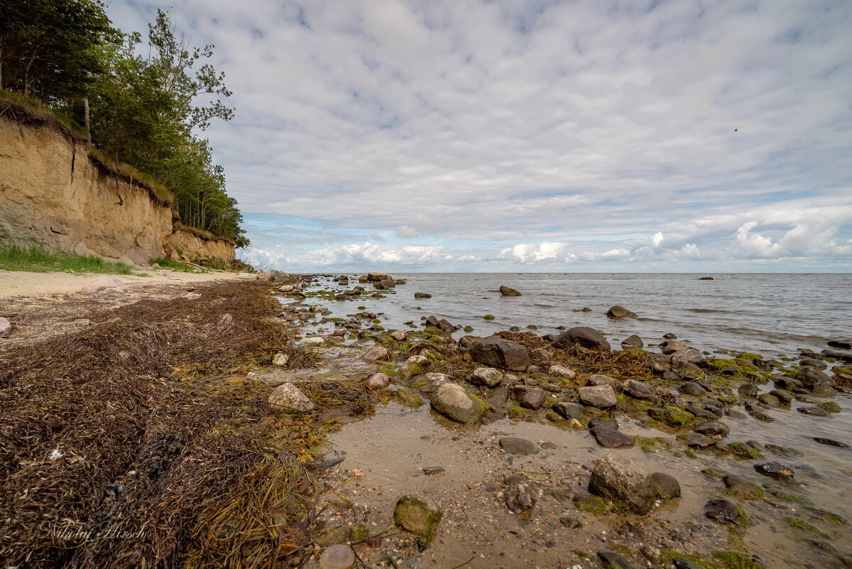 Побережье Балтийского моря... - Николай Гирш
