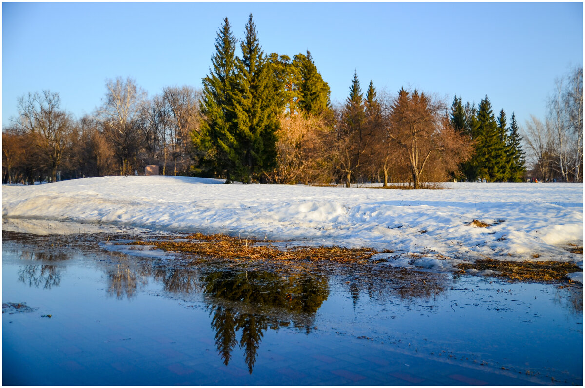 Весенние отражения. - Михаил К