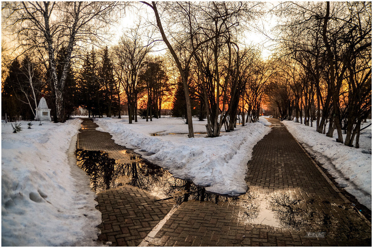 Аллеи весеннего парка. - Михаил К