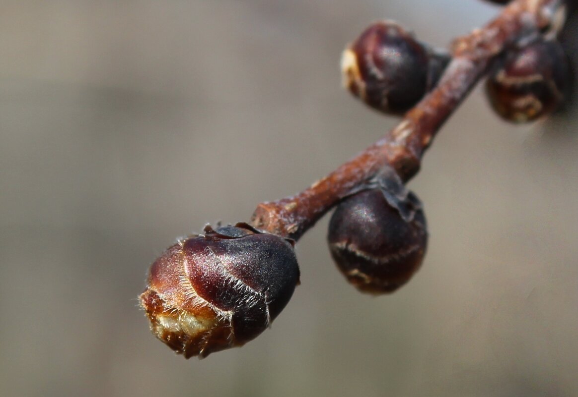 Уже вот-вот - Tina Kott