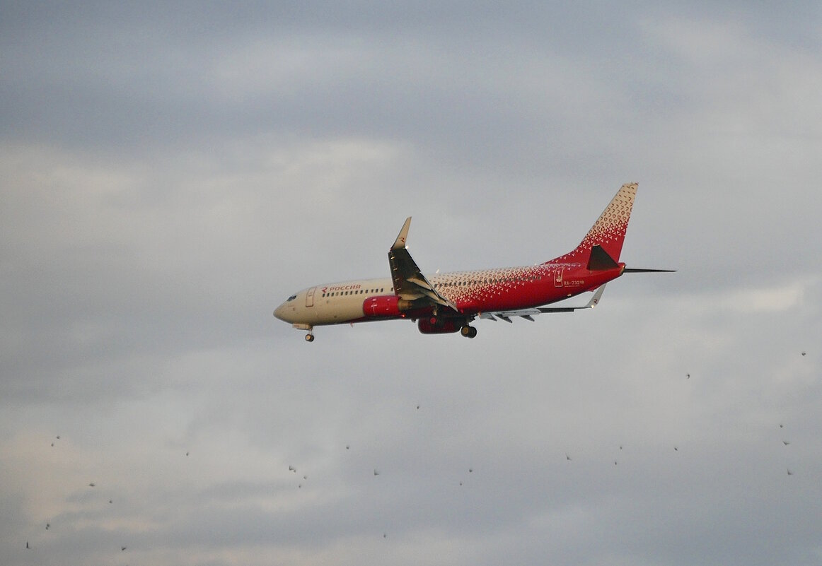 Воздушный трудяга Б737 а/к Россия. - Alexey YakovLev