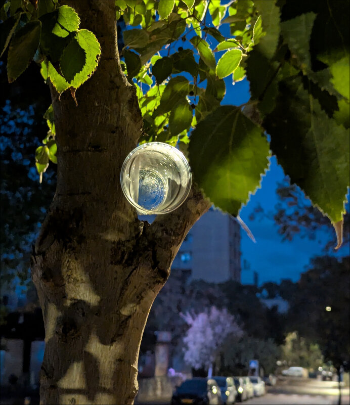 Когда фонарики качаются ночные... - Валерий Готлиб