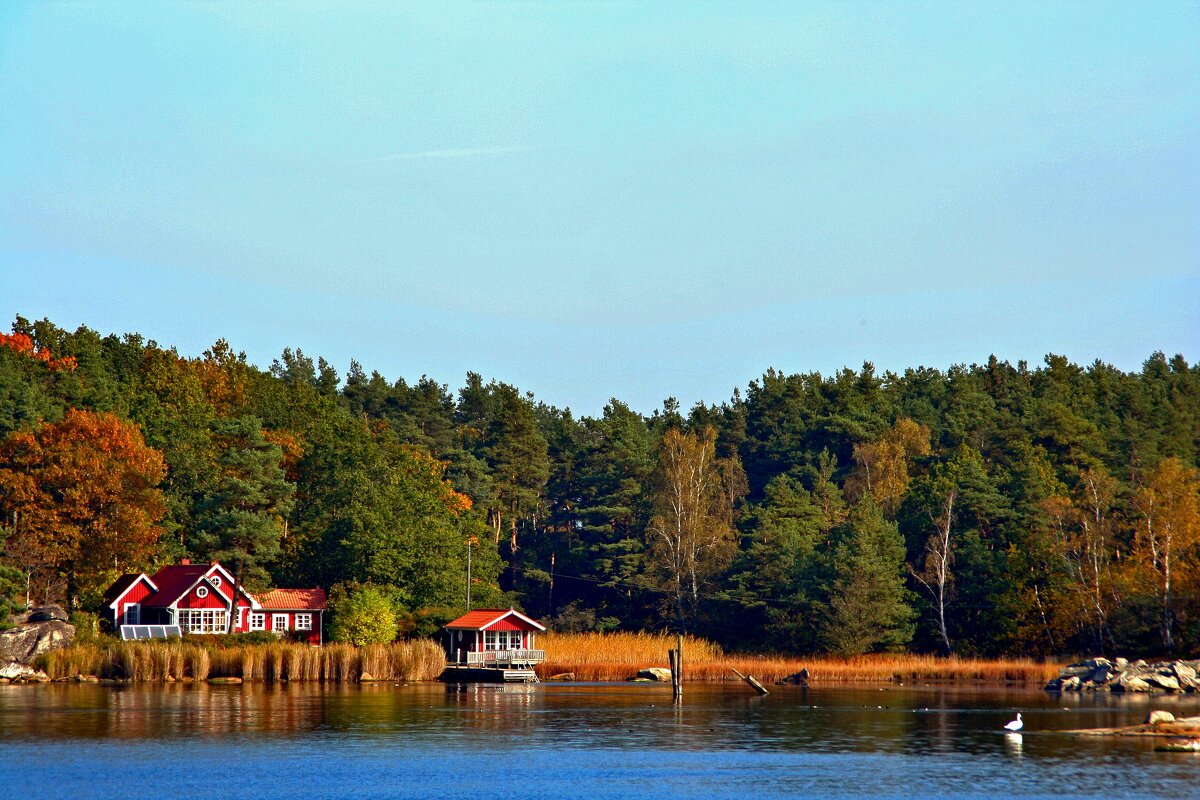 Осень в Швеции - В.И 