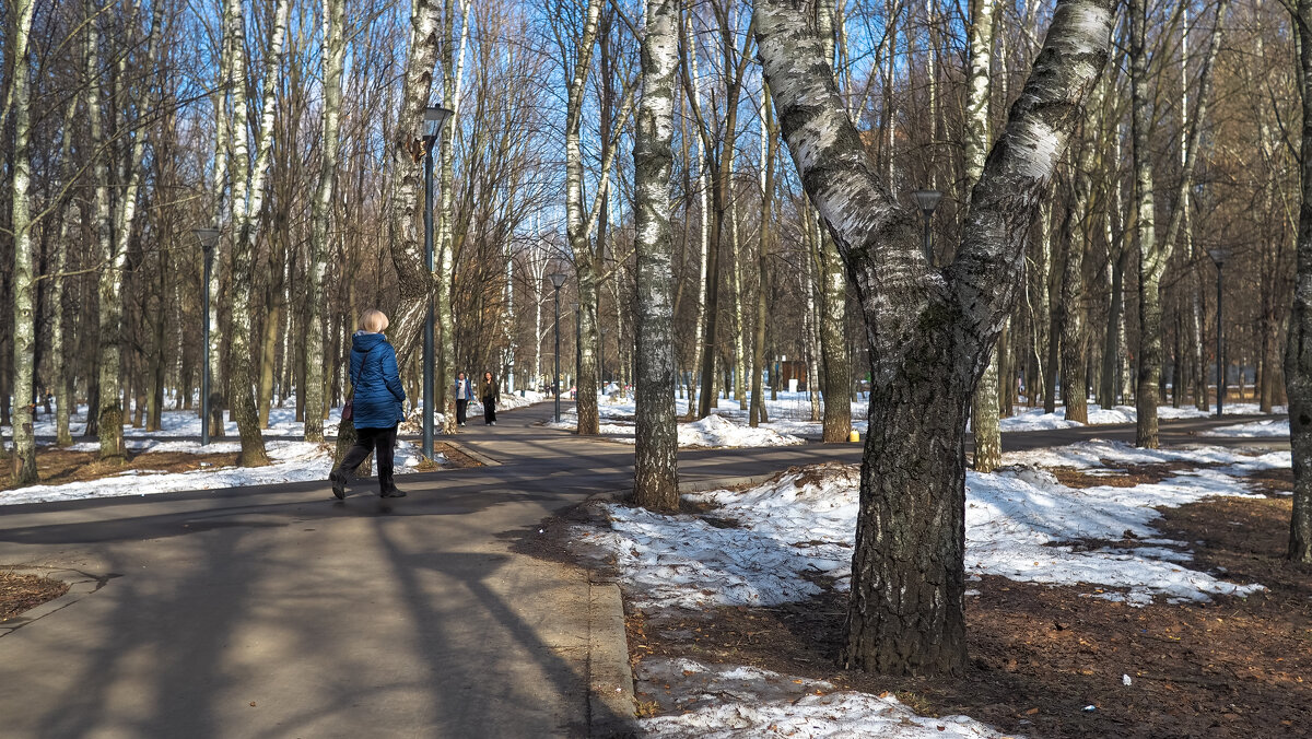 Прогулки в Весеннем Парке - юрий поляков