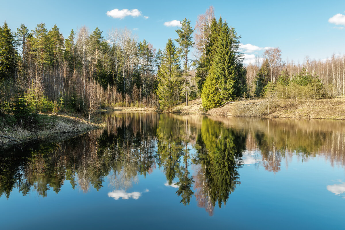 Весна - Владимир Колесников
