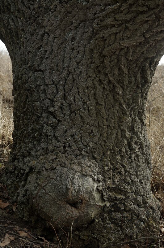 даже не знаю какое - Анатолий Момотов