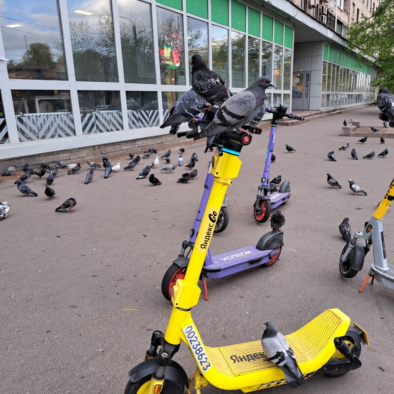 на улицах города - Savayr 