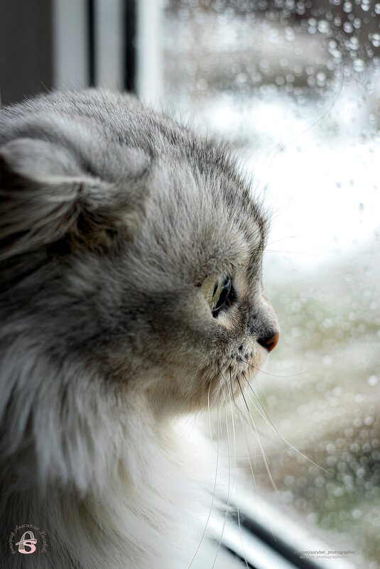 Киношный взгляд - Анастасия Белякова