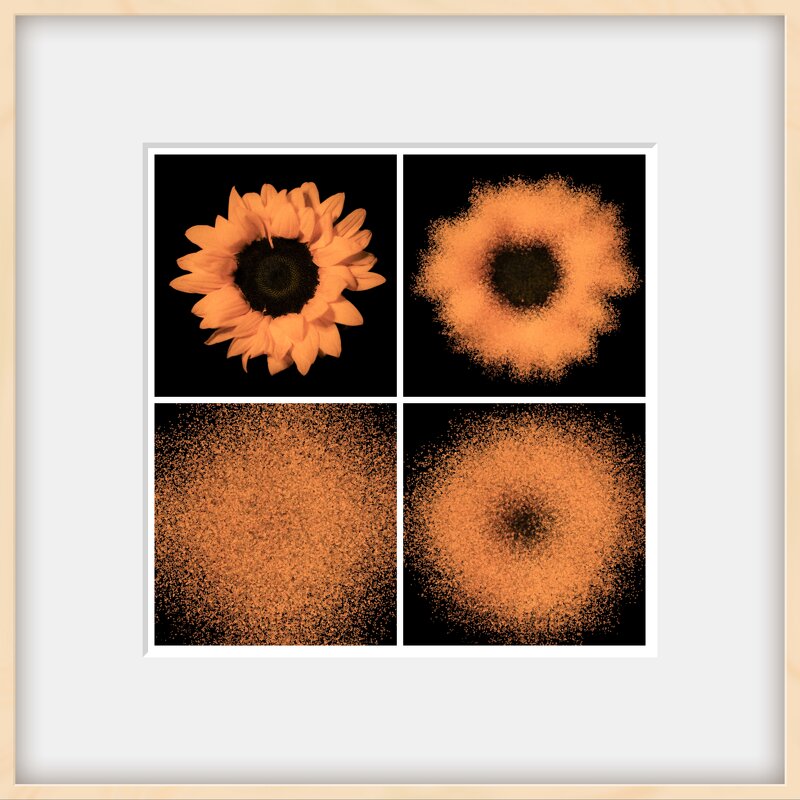 Арт фото - Илья Шенгелия