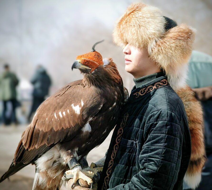 Степняки - Георгиевич 