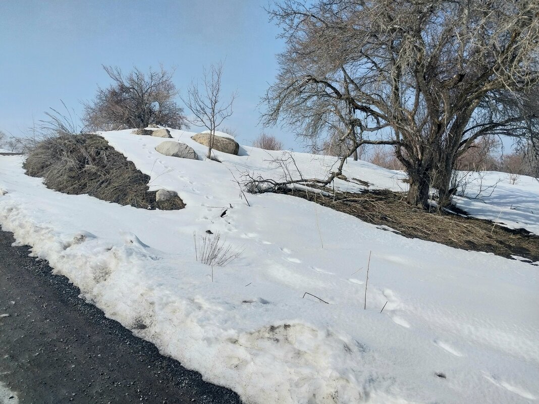 Ак Булак.  Талгар. - Murat Bukaev 