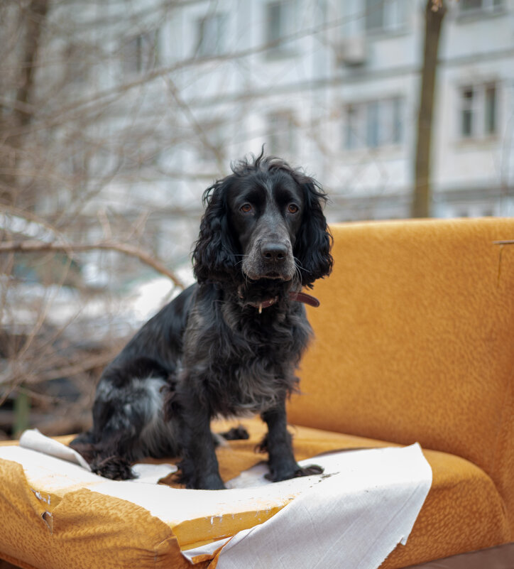 Джек - Вячеслав Дроздов