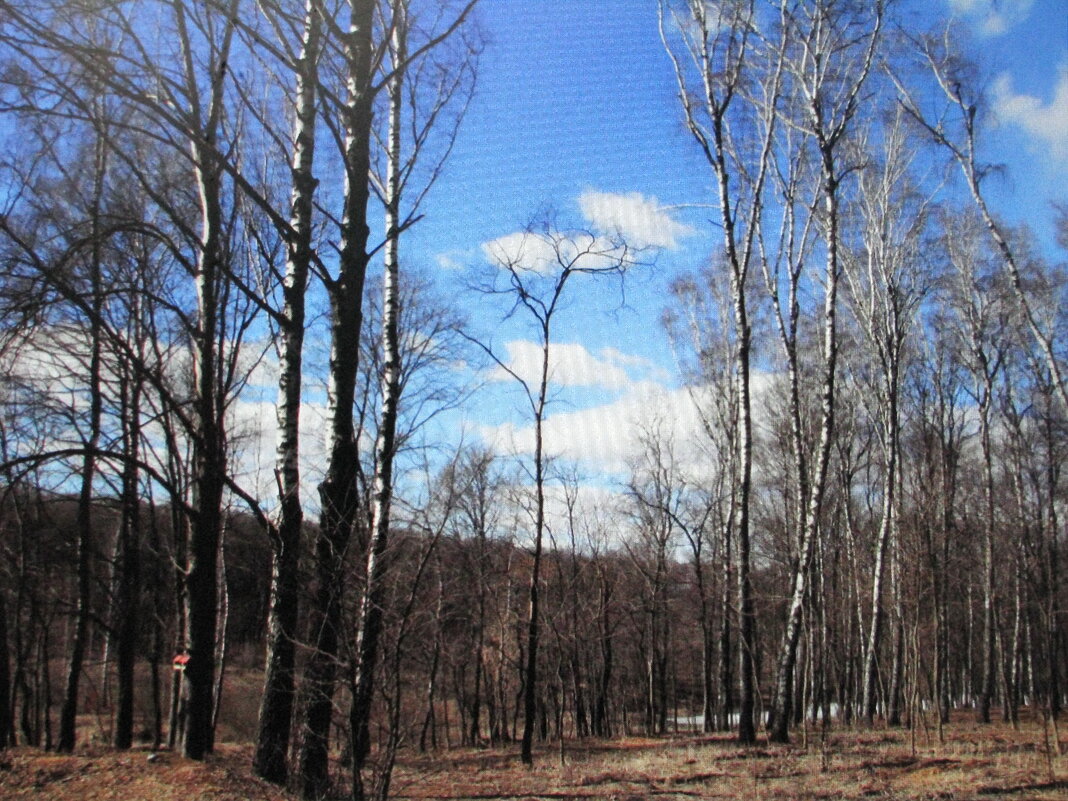 Красивый денёк - Людмила Смородинская Красивый денёк - Людмила Смородинская