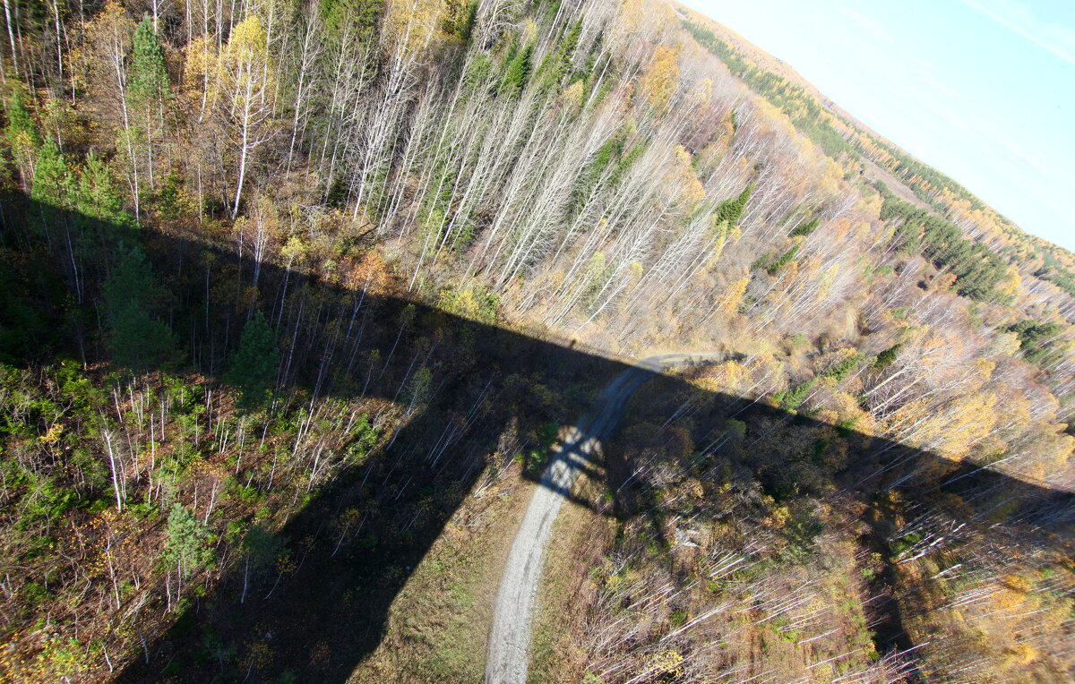 Тень. - Андрей Катков