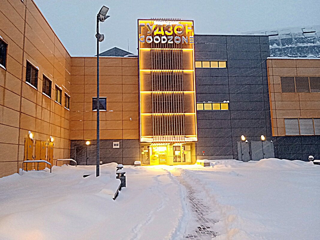 Гудзон. - Владимир Драгунский