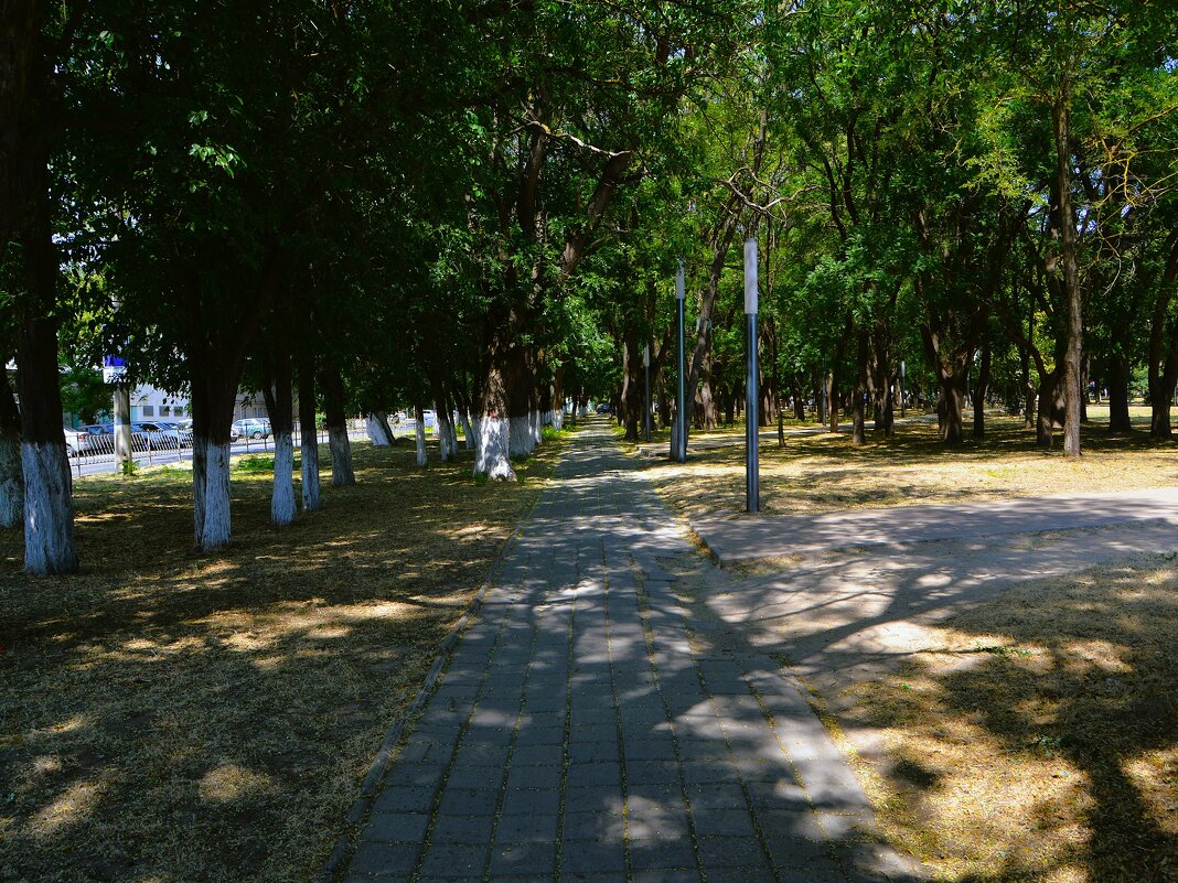 Керчь. Аллея улицы Кирова у Комсомольского парка. - Пётр Чернега