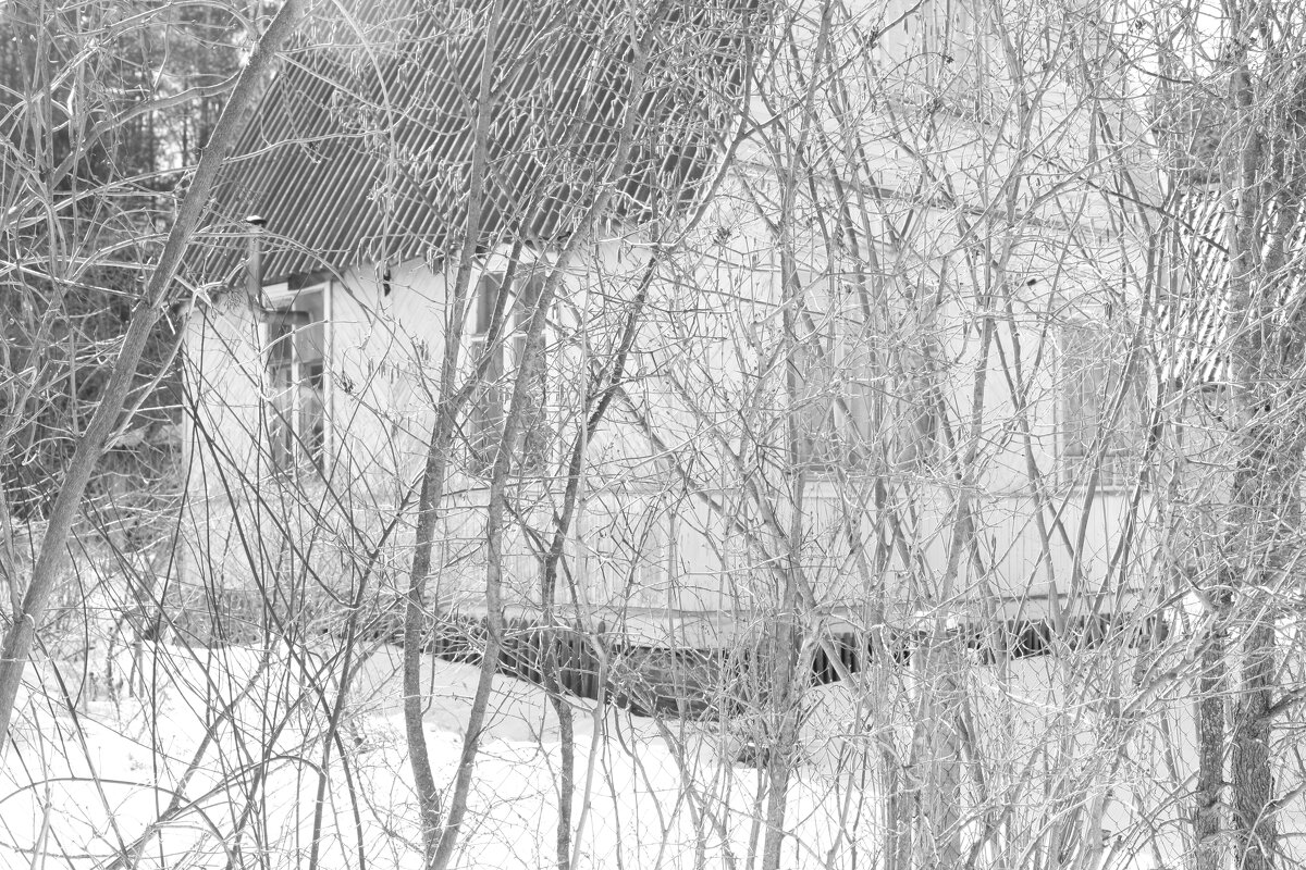 Мечты о ч/б Лейке 82. - Михаил Елочкин