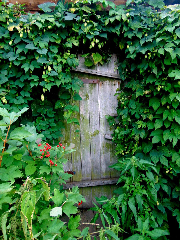 Сим-Сим,откройся ! - nadyasilyuk Вознюк