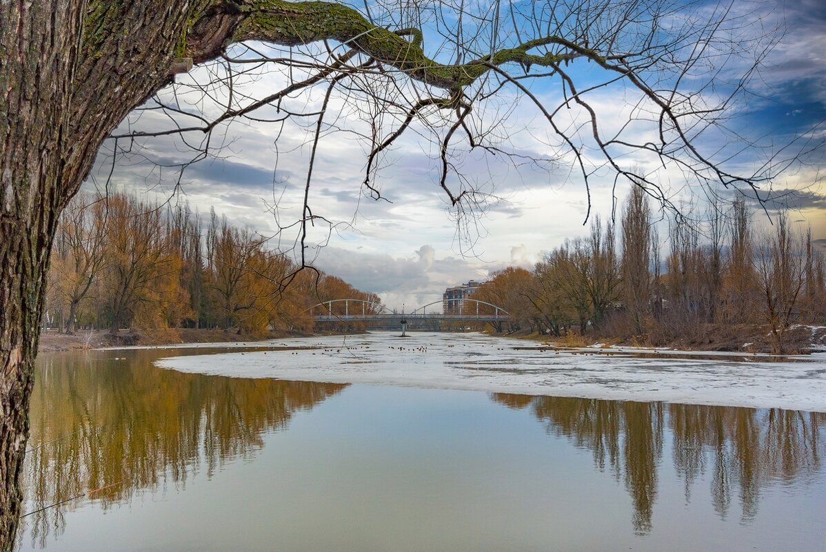 Вот она, весна, пришла!... - Ravile Вот она, весна, пришла!... - Ravile