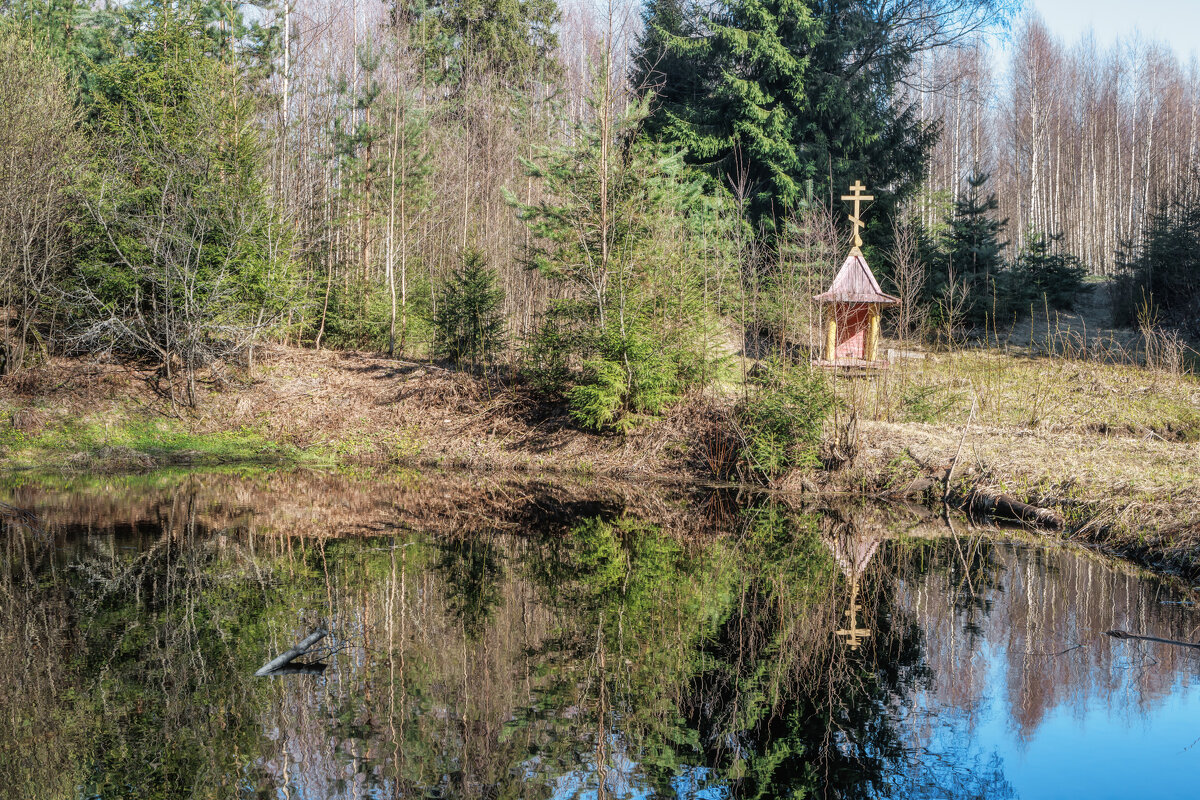 Весна в Лен области - Владимир Колесников