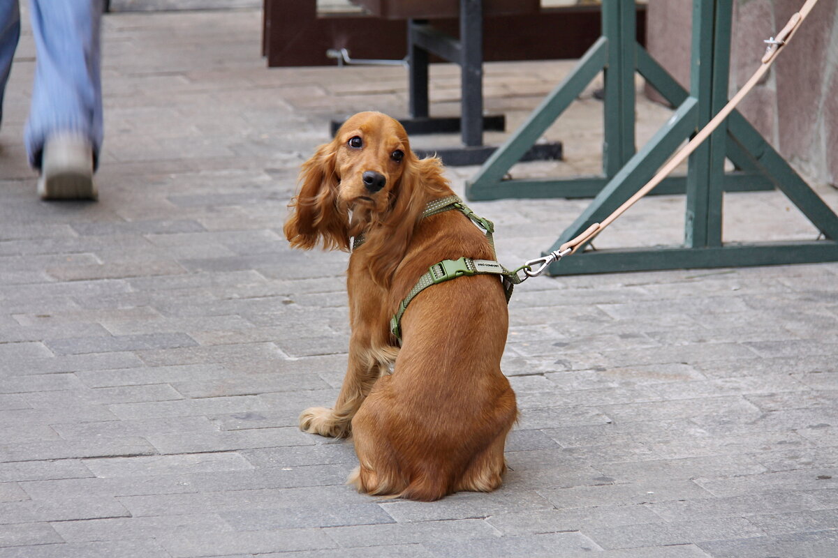 Я оглянулся посмотреть не оглянулась ли она, чтоб посмотреть не оглянулся ли я. - Elias 69