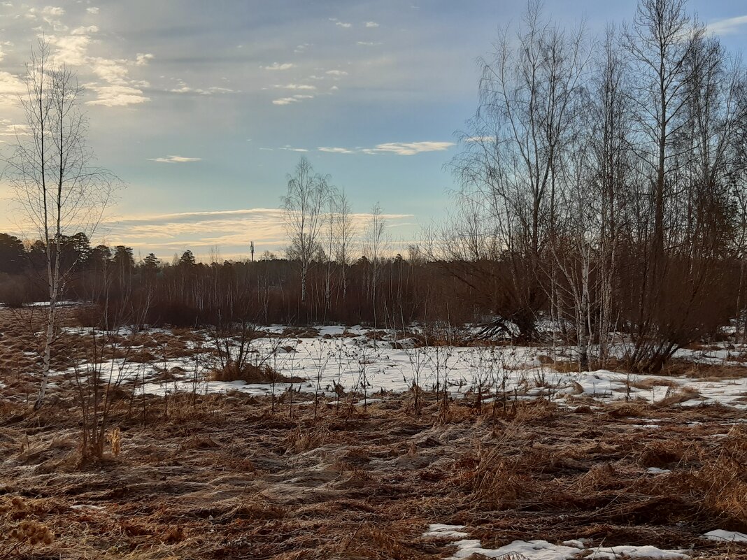 Весна - Галина Минчук Весна - Галина Минчук