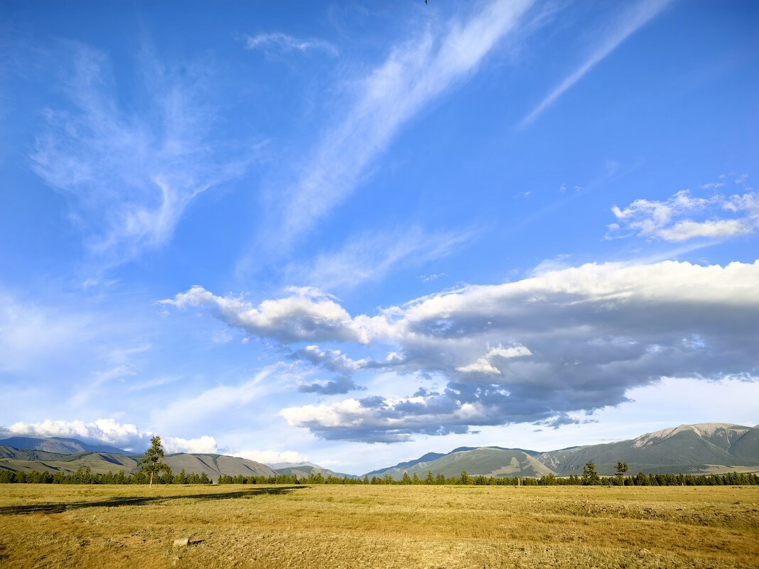 В Курайской степи - Галина Козлова 