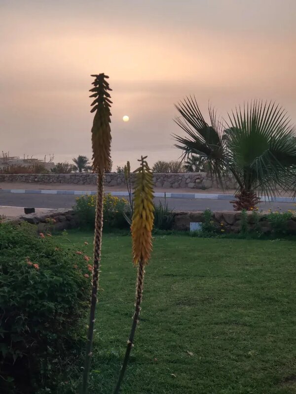 Вечерело - Ирэн 