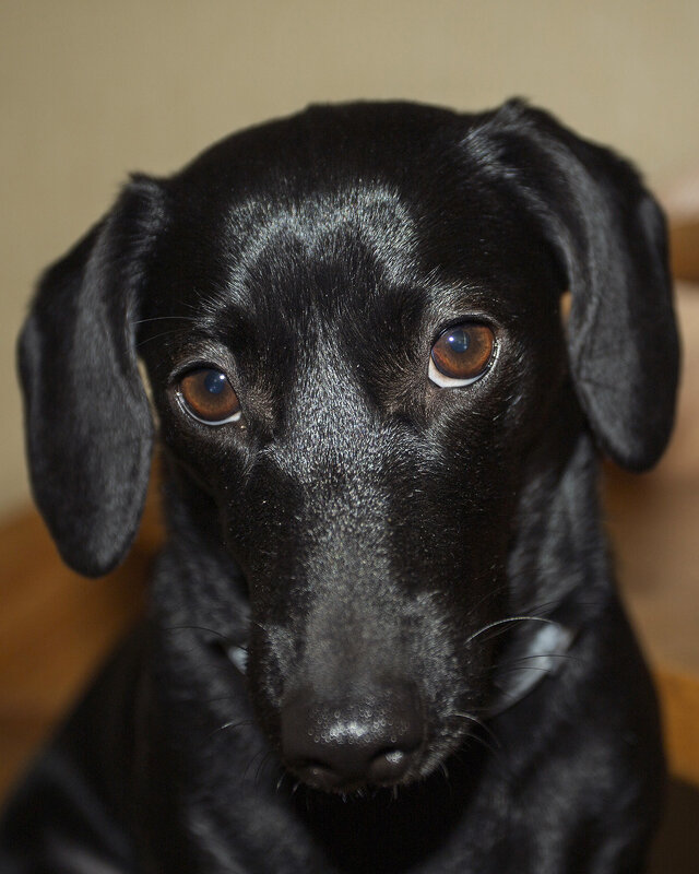 не виновата я - Александр Александр