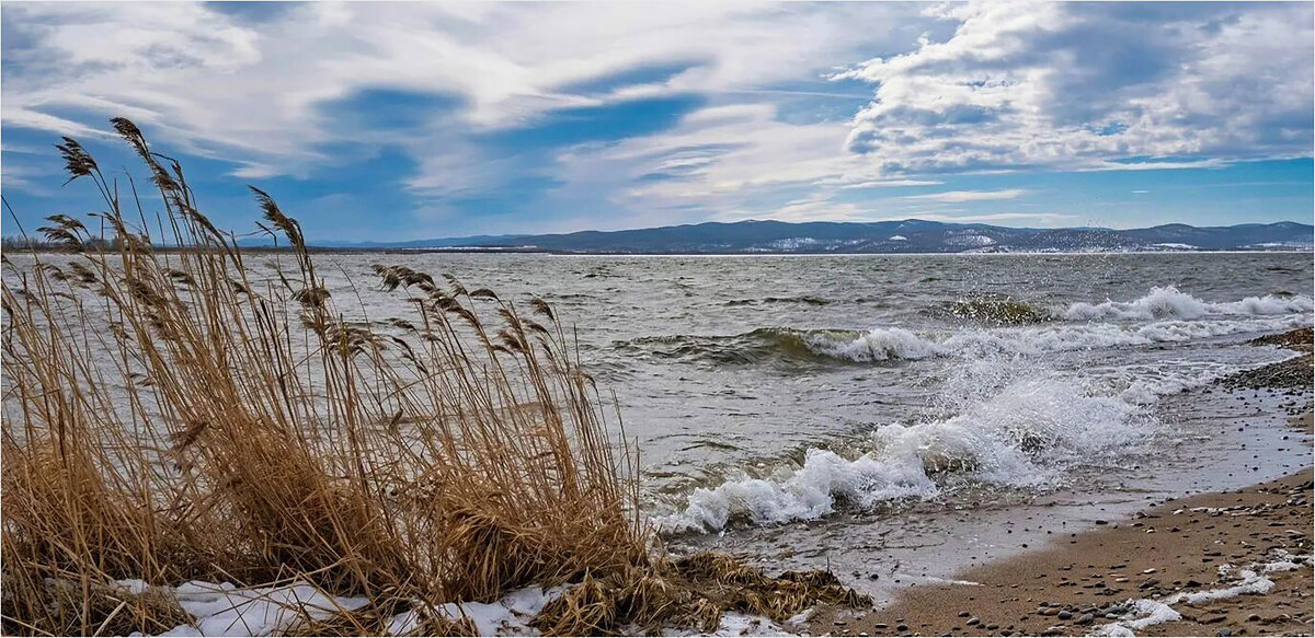 *** - Алексей Мезенцев