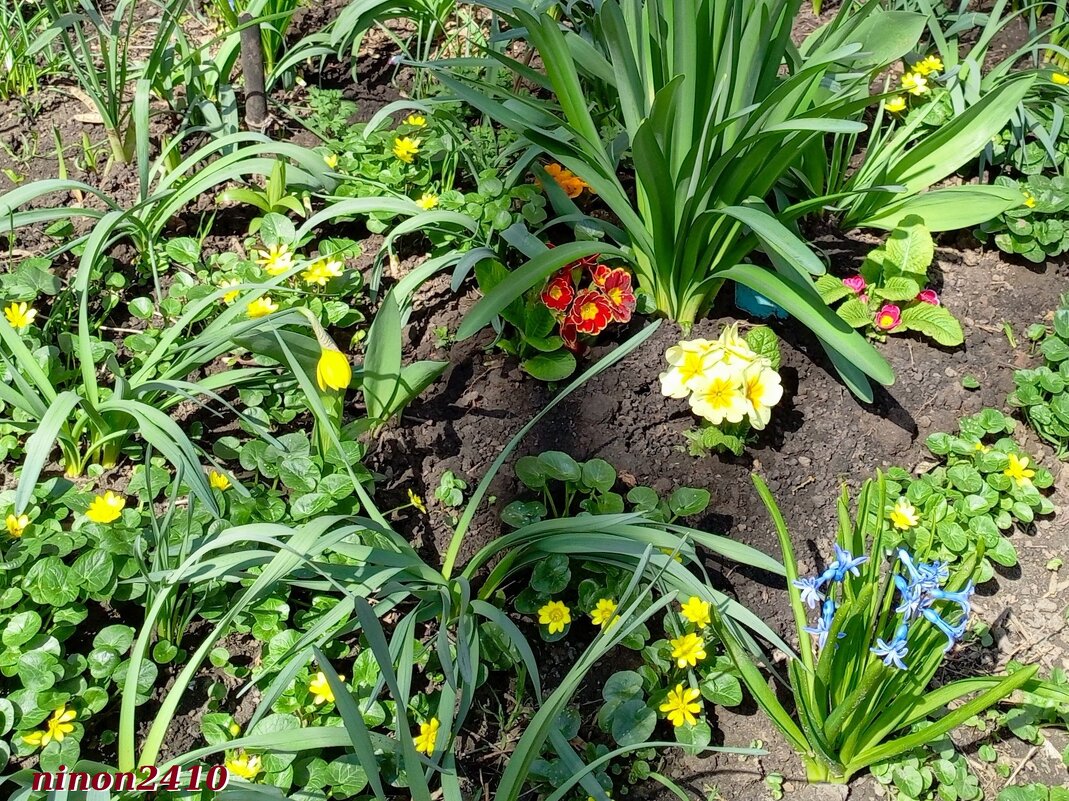 Ростовская весна - Нина Бутко