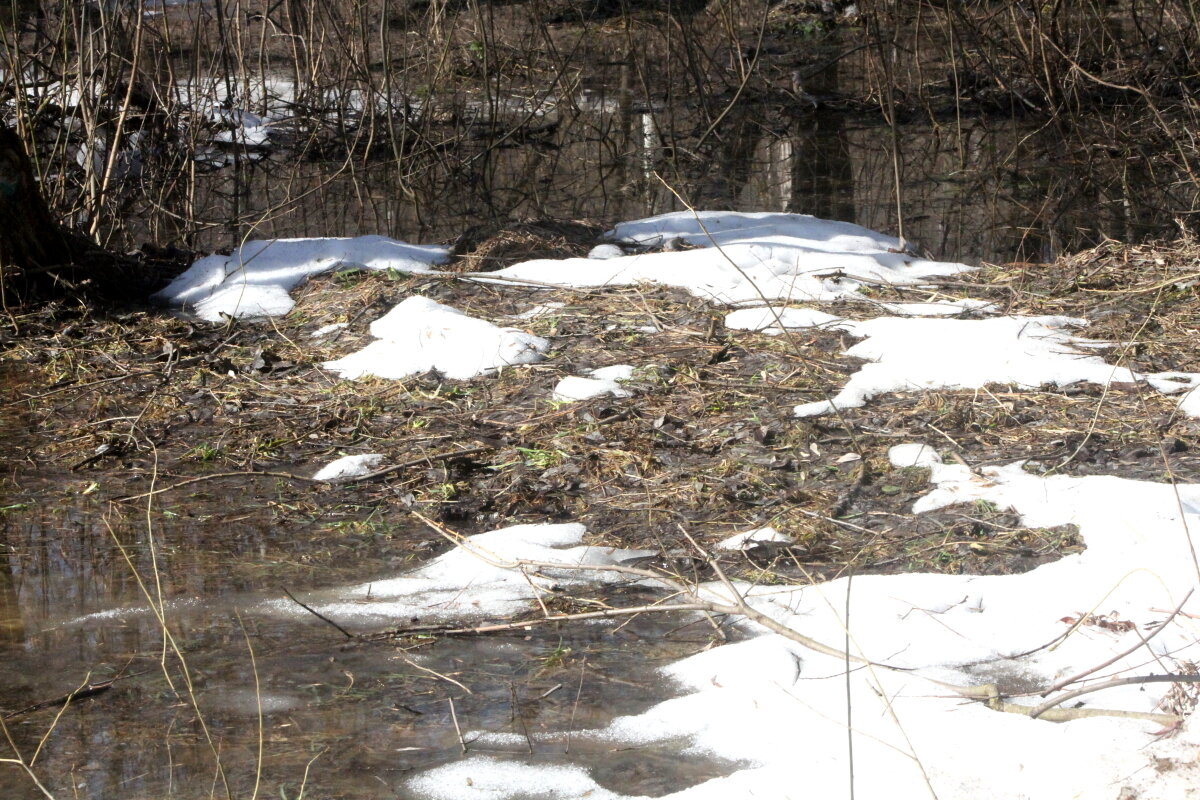 Еще в полях белеет снег - олег свирский 