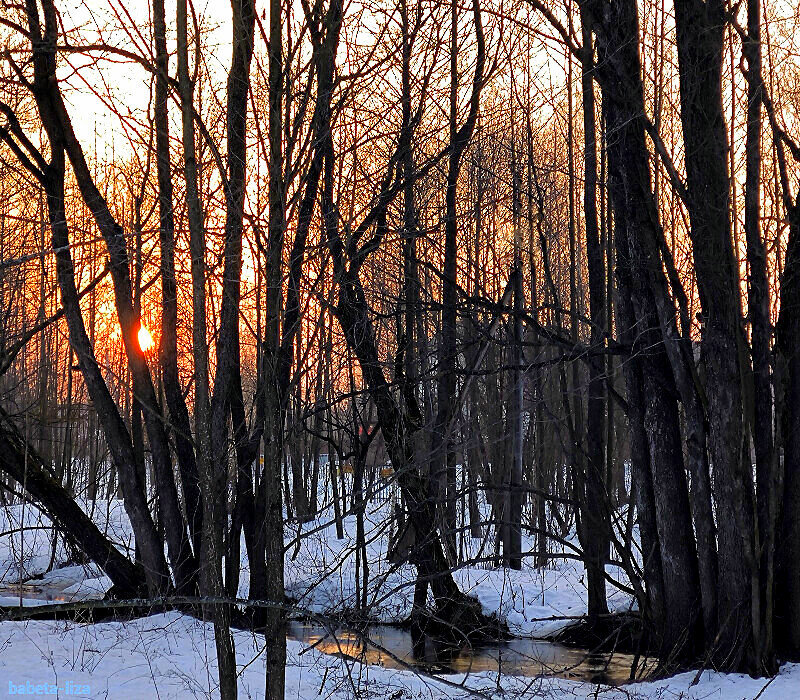 Март в Подмосковье - Елена 