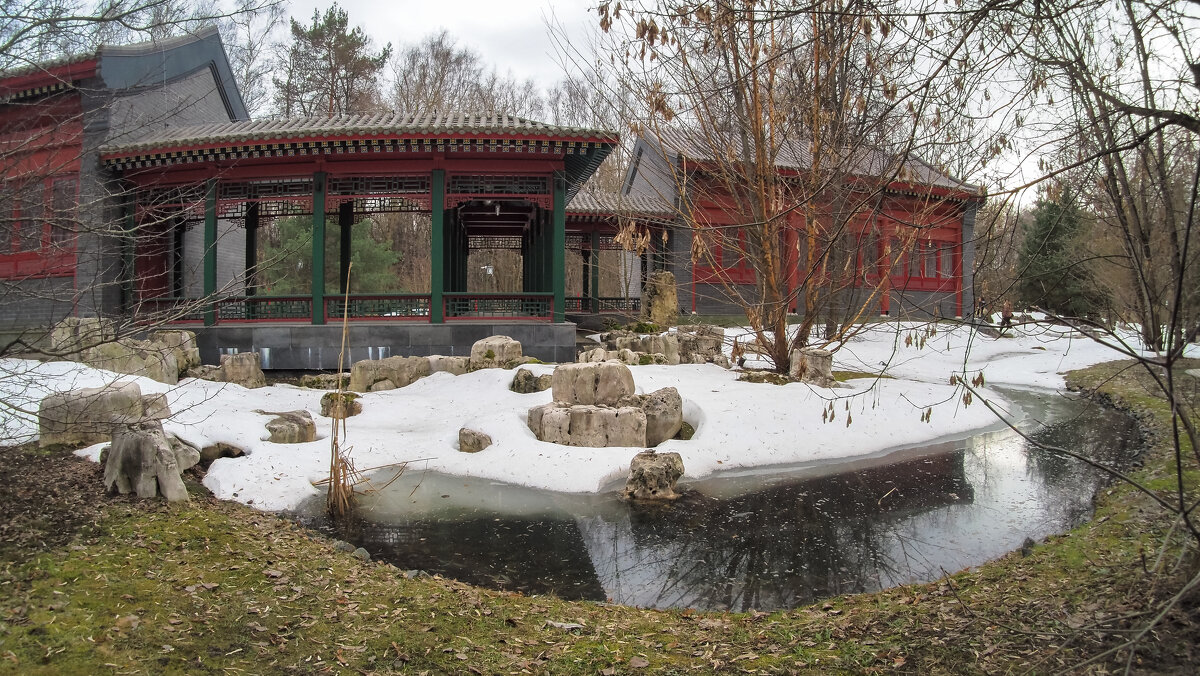 Весенние в ПаркеХуамин - юрий поляков