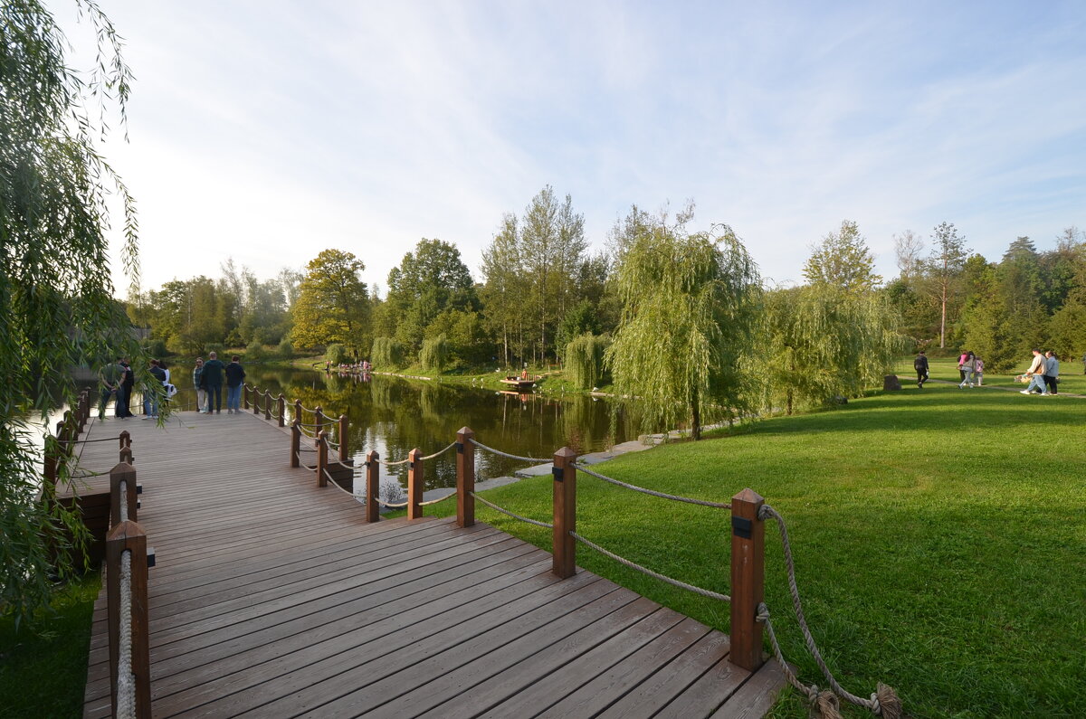 в уютном лесопарке - Галина R... в уютном лесопарке - Галина R...