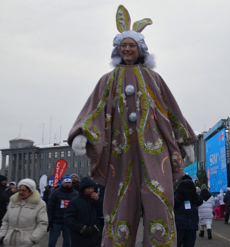 Зайцы в городе - Savayr 