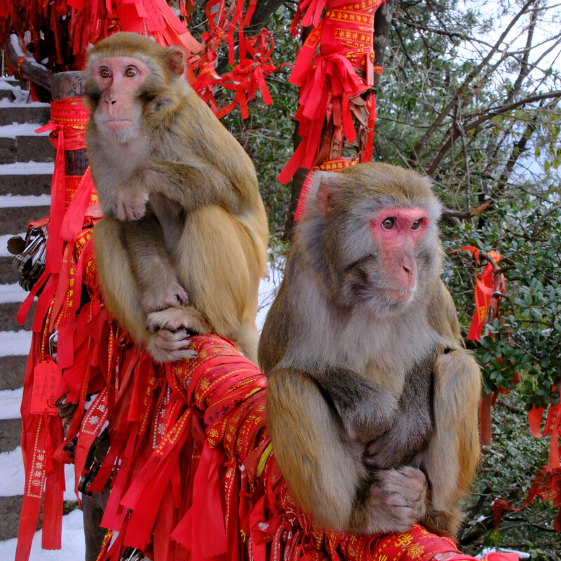 Спрятали свои ручки, замерзли - Георгий А