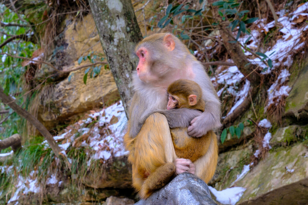 сидят и не шевелятся - Георгий А