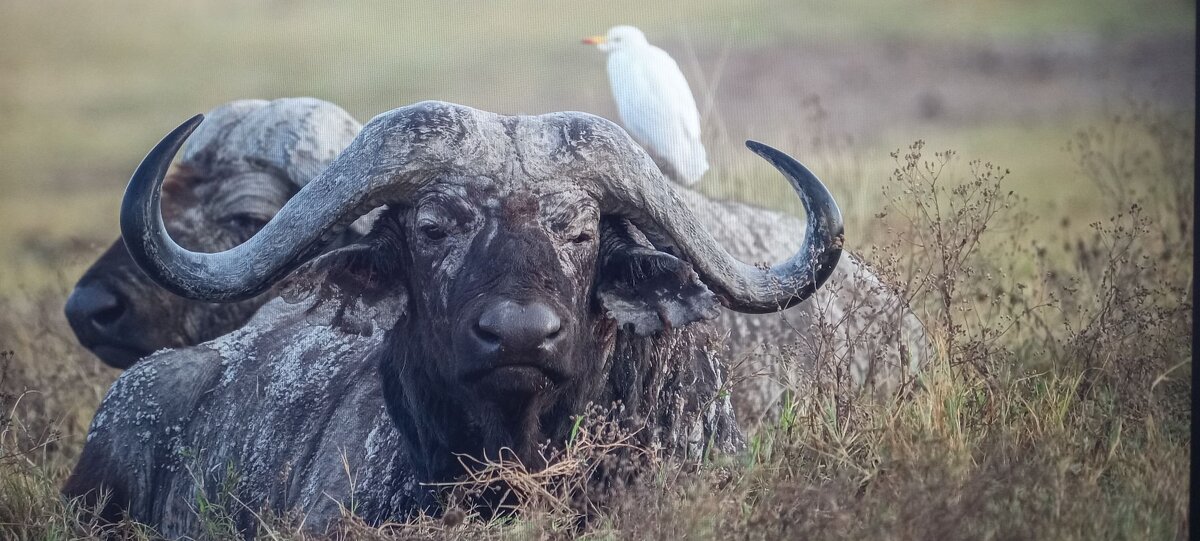 Вздремнём ? - Валерий Кокорев