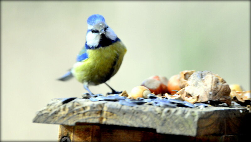 Она позирует ... - Сергей Она позирует ... - Сергей