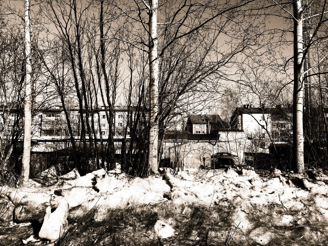 Фотография - Денис Безногов