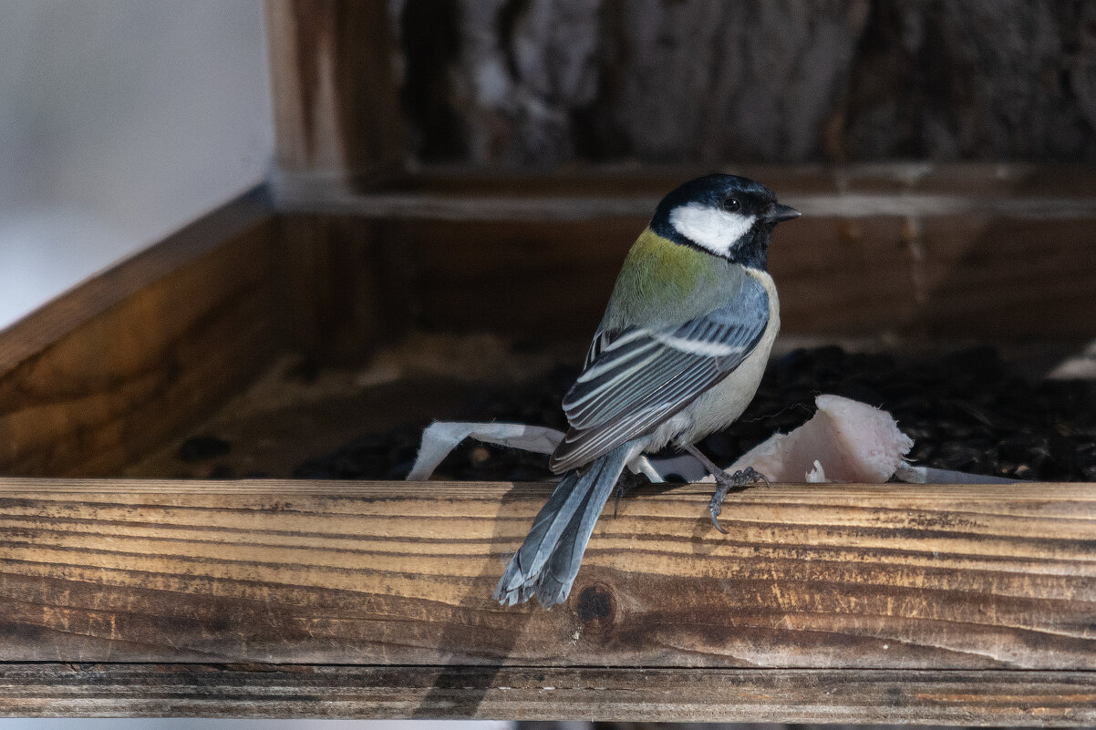 Красотка - Виктор Иванович Чернюк