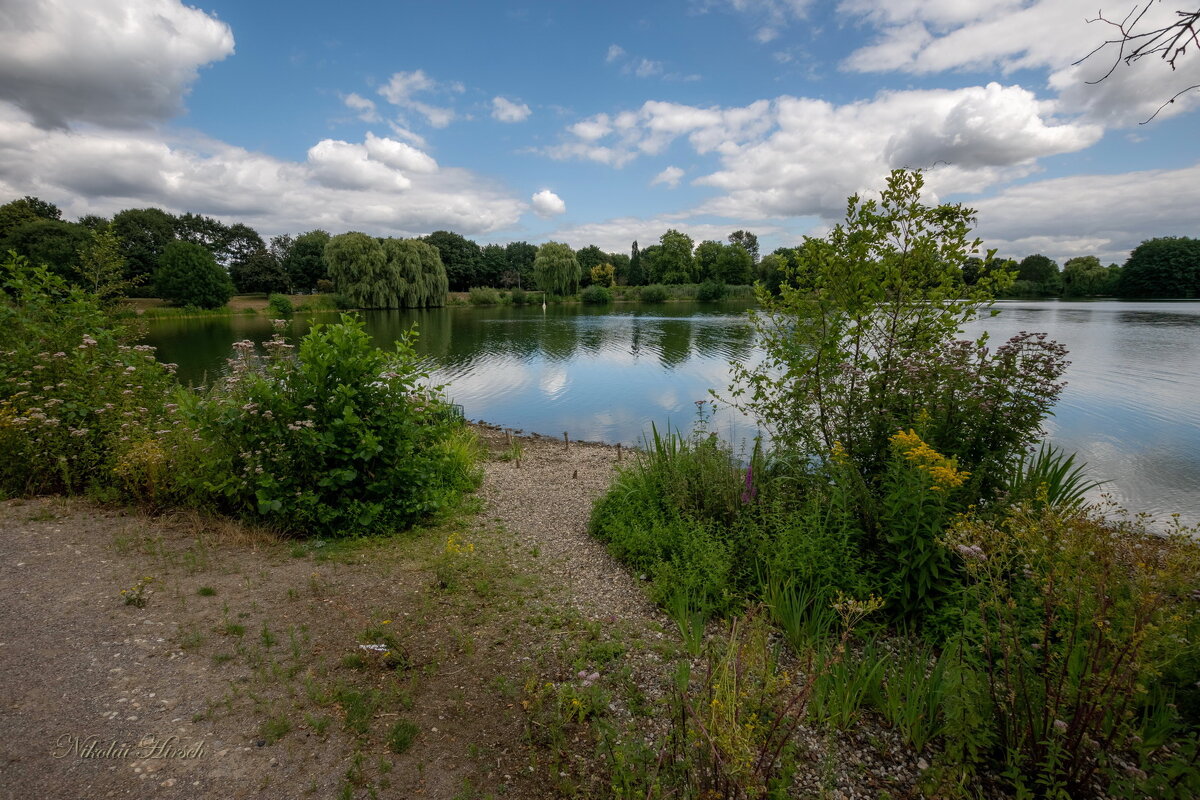 У озера... - Николай Гирш У озера... - Николай Гирш